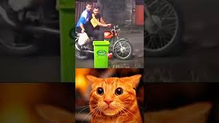 Don’t try  #cat #bombastic #popular #shorts