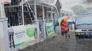 Super zware regen en harde wind in mijn dorp | Slaap lekker door het geluid van de regen