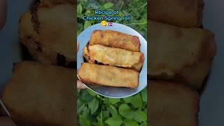 Recipe of Chicken Spring roll#shorts#delicious#recipe @ChannelMunu532