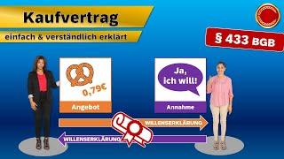 $ 433 BGB // Vertragstypische Pflichten beim Kaufvertrag - ‍ EINFACH ERKLÄRT ‍