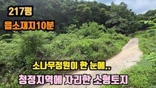 [No.800]청정지역에 귀한 소형토지, 소나무정원조망을 소유하는 토지