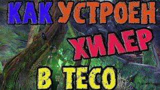 The Elder Scrolls Online: Как устроен хилер в ТЕСО (TESO)