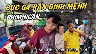 CỤC GÀ RÁN ĐỊNH MỆNH - Anh Nhí Betta Vượt Lên Chính Mình | Phim Ngắn