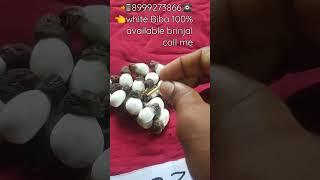 8999273866white Biba 100% available brinjal call me