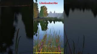 Active Bream Spot Huge Trophy 5.178kg on float #fishing #russianfishing4 #rf4tutorial #rf4 #gaming