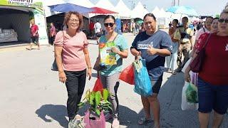 Berkunjung Ke Tapak Sarawak Agrofest 2024 Di Bintulu