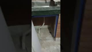 carpenter 🪚 full furniture sara kam karte Hain full automatic Li#carpenter #viral #views 