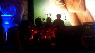 Primus-Wynona's Big Brown Beaver live