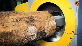 Crazy Wood Processing Machines | Biggest Wood Cutting Factory | Sawmills▶1