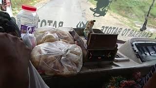 Journey to Mini Kashmeer : Going Sanasar Lake by bus (listen Dogri Song and enjoy Mountains)