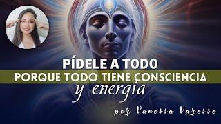 Pídele a Todo Porque Todo Tiene Consciencia y Energía - por Vanessa Varesse