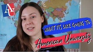 What it's like at American University | Tips + Advice