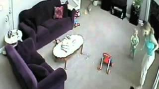 Cat protects her home -  attacks Babysitter