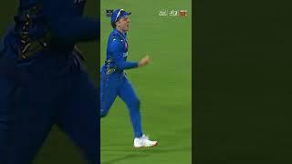 Dewald Brevis Takes a Stunner | SA20 | MI Cape Town vs Joburg Super Kings