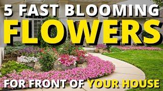 5 Fast Blooming Flowers for Front of Your House 