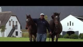 Drakenstein Stud Farm - Sires 2016/17