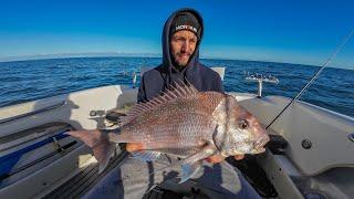 How to catch pink snapper.