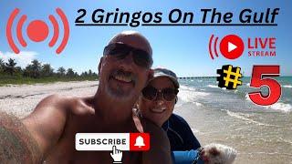 2 Gringos On The Gulf  Jennifer & Darryle is going live!