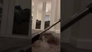 Rubber Broom for Carpet - Perfect for Removing Pet Hair