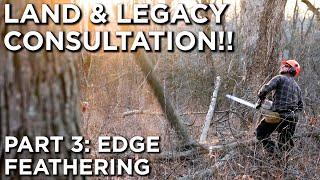 Land & Legacy LIVE Consultation! | Edge Feathering | Part 3