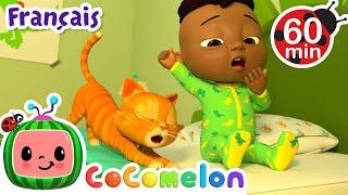 Voici comment 🪥| CoComelon - L'Heure de Cody | Chansons pour bébés