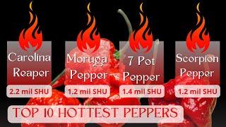 Super Hot pepper review. What are the Top 10 Hottest Peppers 2021 - 2022 #superhotpeppers #scoville