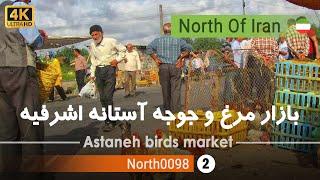 ولاگ بازار مرغ و جوجه آستانه اشرفیه, گیلان [4k] شمال ایران - birds market ,Gilan, north of Iran