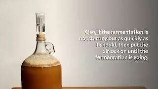 Do You Have To Use An Airlock When Fermenting?  » HomeBrewAdvice.com