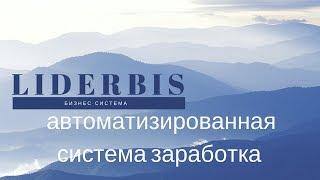 Автоматизированная система заработка LiderBis