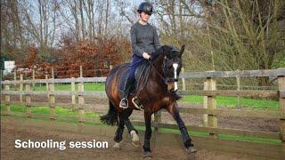 SCHOOLING WITH MY FANCY DRESSAGE HORSE  | Focusing on relaxation&self carriage | @millydressage