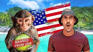 Monkeys EXPLOITED For Coconuts In Thailand?