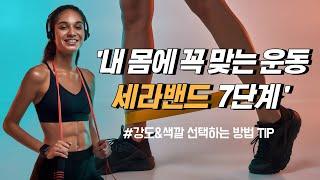 세라밴드 색깔&단계 고르는 방법! [웰니스랩]