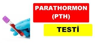 PARATHORMON YÜKSEKLİĞİ NEDEN OLUR ?- Uzm.Dr.Kemal Aslan