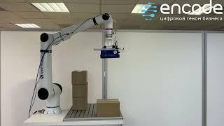 Промышленный манипулятор Elfin L10 от компании Han's Robot перекладывает картонные короба.