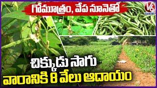 Broad Beans (Chikkudukaya) Farming | Farmer Earn Huge Profits | Rangareddy | V6 News