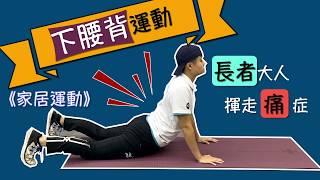 【居家運動】下腰背運動 Low Back Exercises