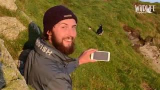 Wildlife Exposed Shetland Diaries: Trailer