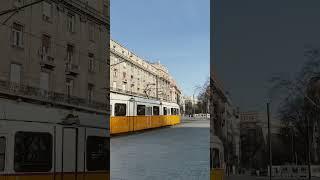 Yellow tram line of Budapest  #budapest #hungary #yellow #europe