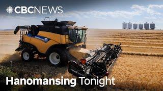 'No farm is prepared' for tariffs, says Canadian farmer | Hanomansing Tonight