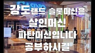 강원랜드 카지노 슬롯머신 게임자들 시간폭탄 독점이 가져온 횡포 분노 폭발