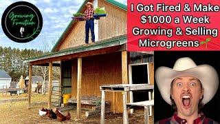 How to Grow Microgreens: Start a Microgreens Business