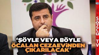 'Öcalan Cezaevinden Çıkarılacak' Selahattin Demirtaş Çağrıya Böyle Karşılık Verecek! Bomba İddia