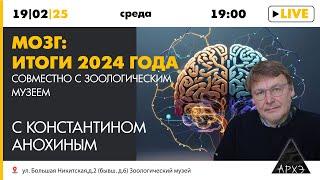 Константин Анохин - Мозг: итоги 2024 года