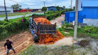 Start New Project Landfill Delete Pond Flooded Area !! Bulldozer Komat'Su D20p Push Soil ,Truck 5Ton