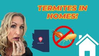 Termites in Arizona | Tips from a Pest Professional