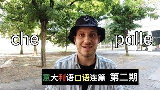 意大利语口语连篇第二期 - CHE PALLE! 真烦！