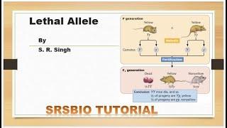 lethal allele