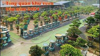 Video 2024 Đầu năm mới tổng quang khu vườn