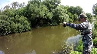 FAMILY FISHING #43# Отцепы спиннингиста