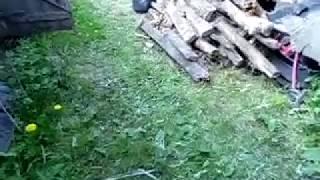 Ремонт сарая. Разбор полов в старом сарае. Начало.. 1. Кое что нашла ))))